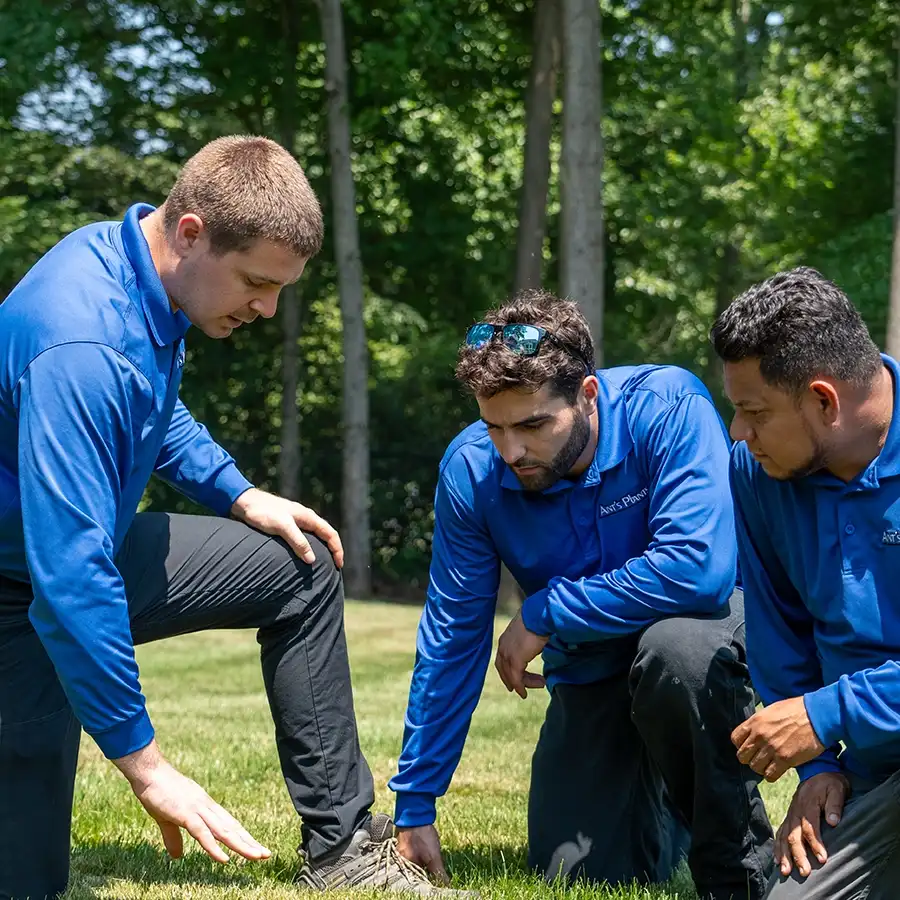 Professional lawn care in OKC metro