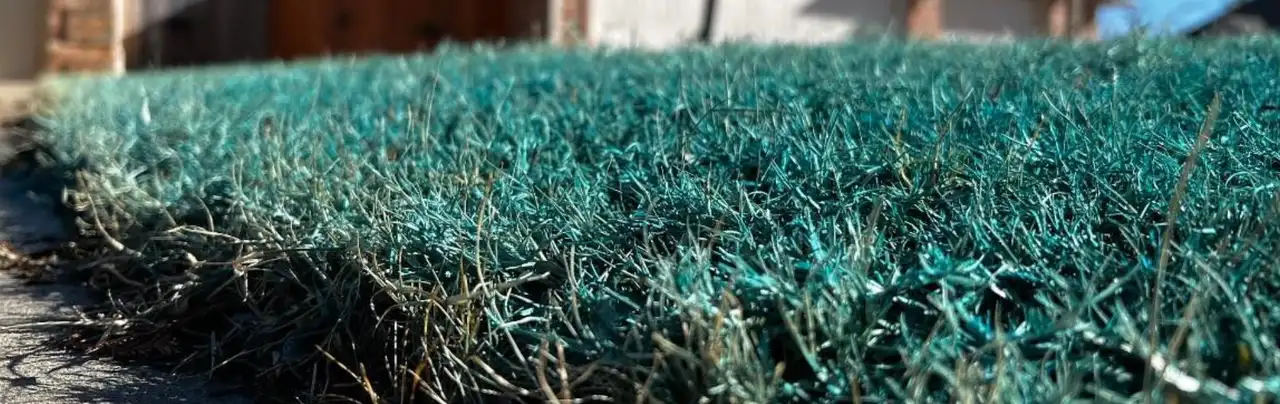OKC area lawn showing grassy weed pressure that Fantastic Lawn diagnoses across Edmond, Oklahoma City, and Norman properties