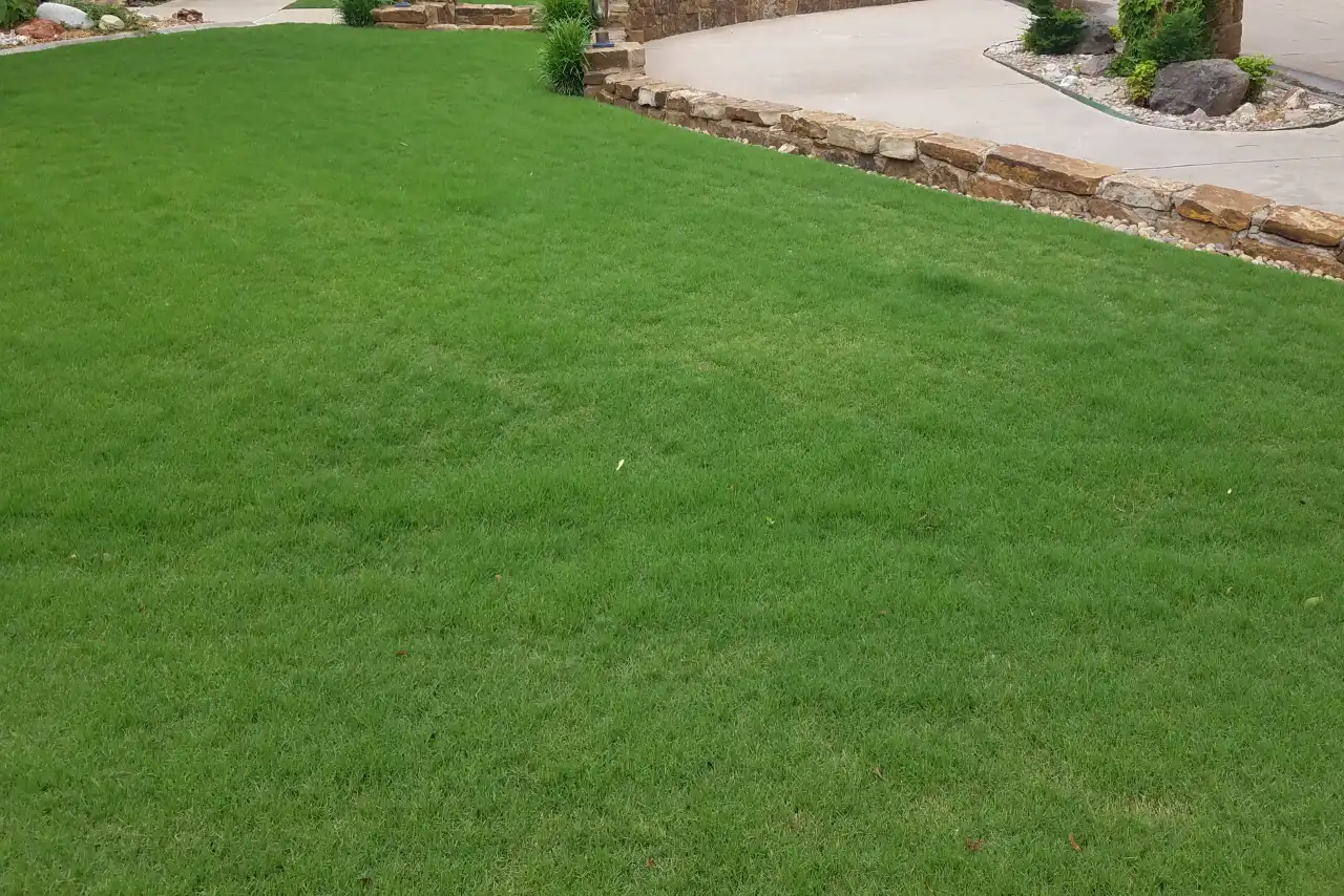 Healthy Bermuda grass lawn in the Edmond and Oklahoma City metro maintained at proper summer mowing height