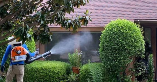 Mosquito Control Service | Fantastic Lawn